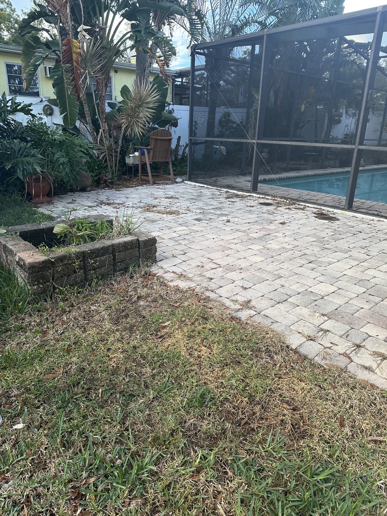 Backyard patio pavers stained and faded before cleaning